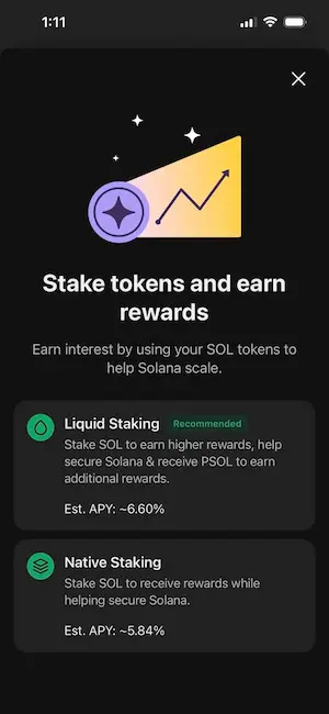 Choose Between Native and Liquid Staking