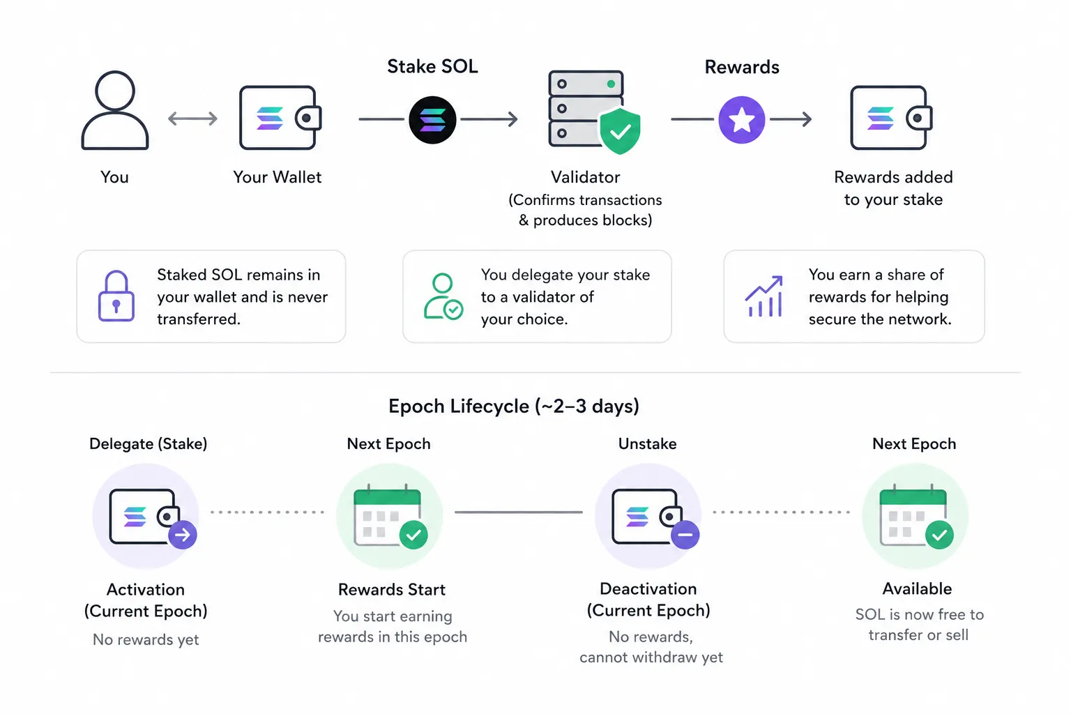 What Are Solana Staking Rewards
